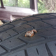 Image for article titled Nine Scary Ways That Your Automobile Can Fail